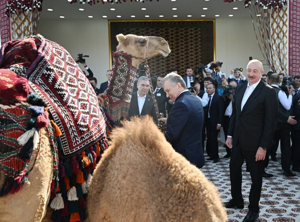 Центральная Азия: верблюд – верблюжонок, золотник - «фискаленок»