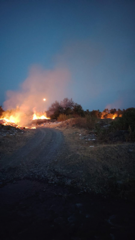 В Габале задержан поджигатель