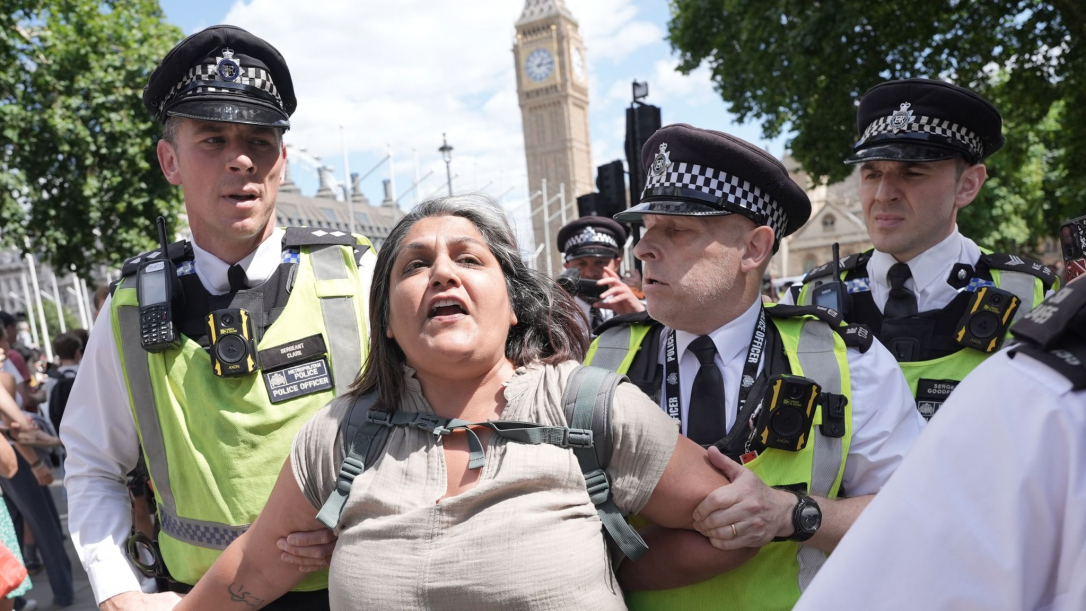 Стражи порядка задержали в Лондоне сотни сторонников Palestine Action