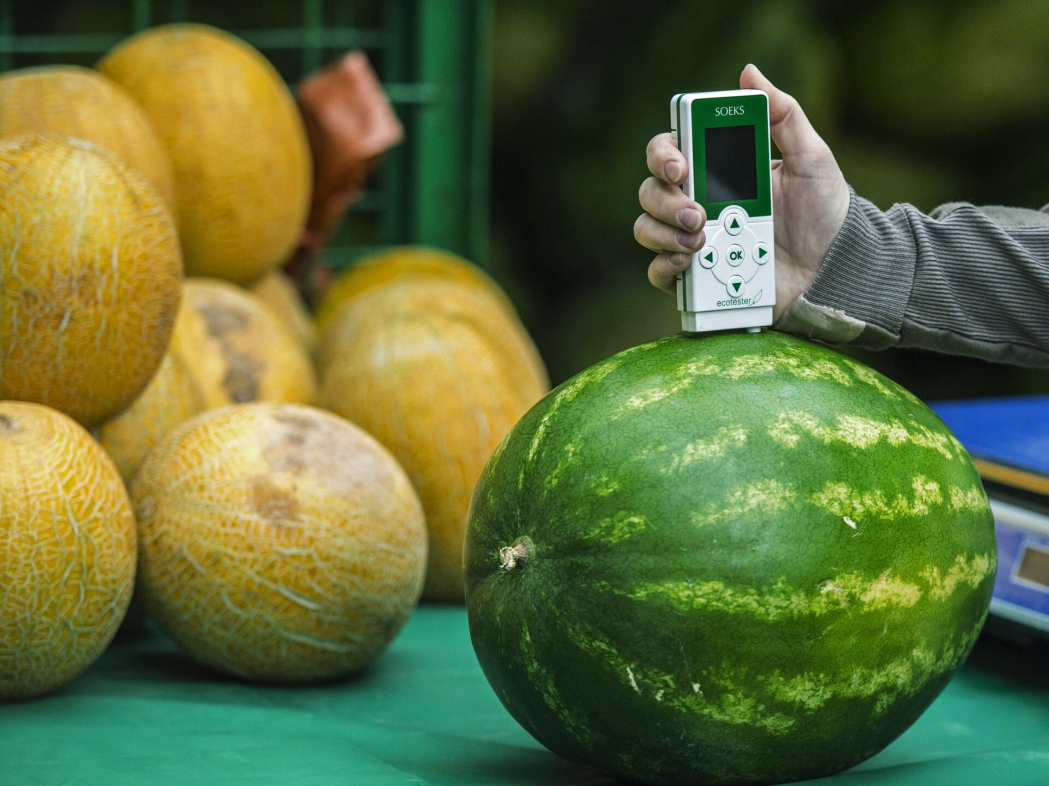 АПБА рассказало о результатах проверок арбузов и дынь
