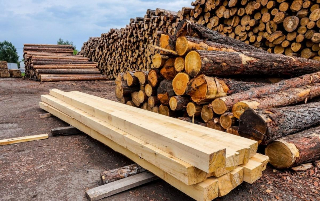 Предприятие в России закрыли из-за найма на работу граждан Азербайджана