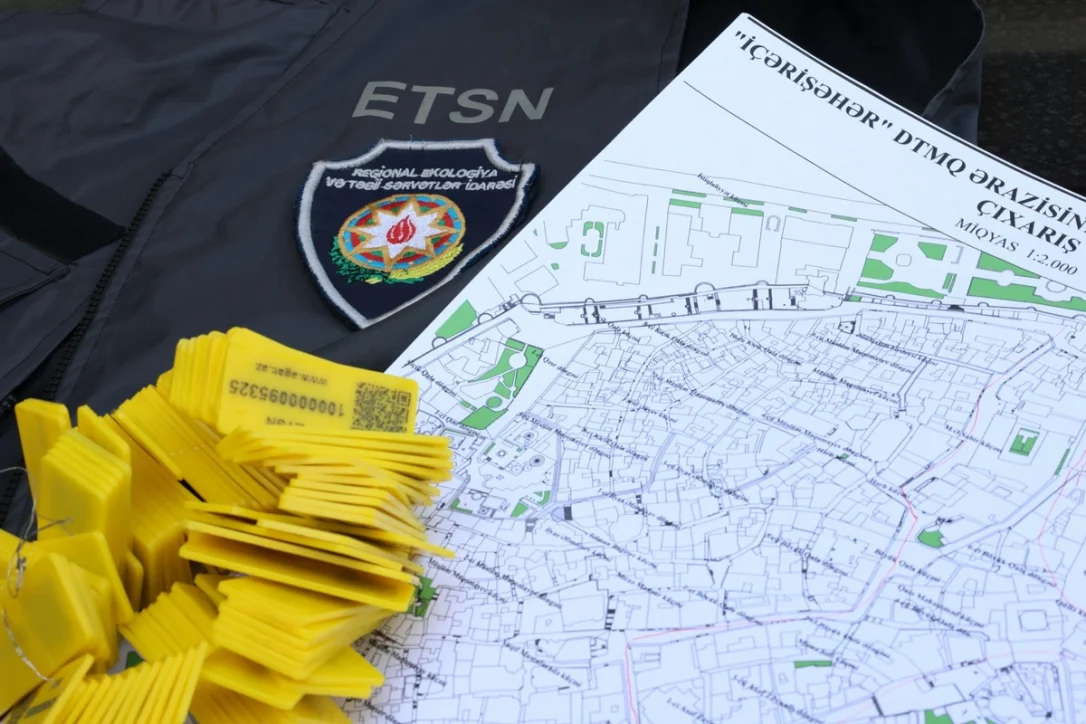 Деревья в "Ичеришехер" получили QR-код