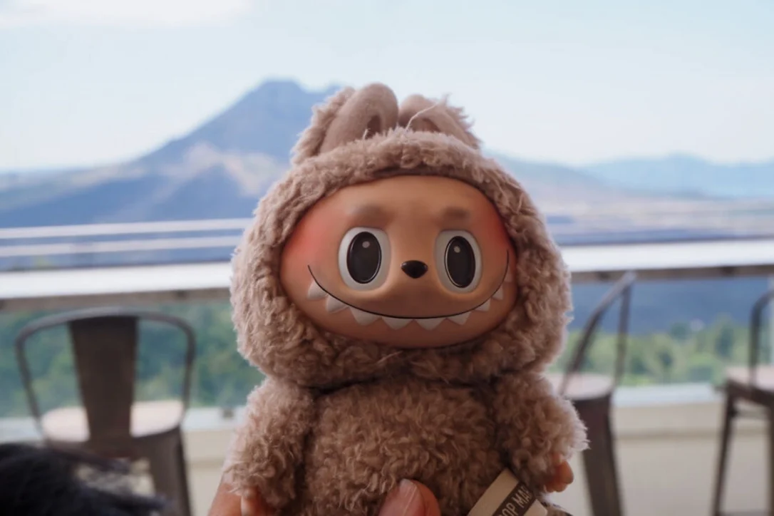 В США перехватили партию поддельных лабубу на полмиллиона долларов