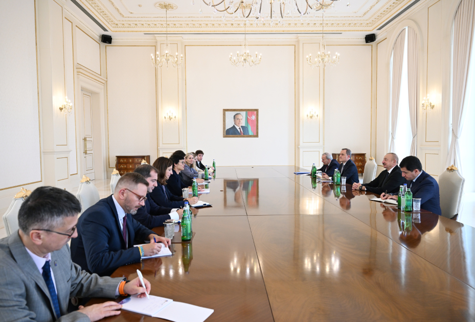 Ильхам Алиев принял еврокомиссара Марту Кос