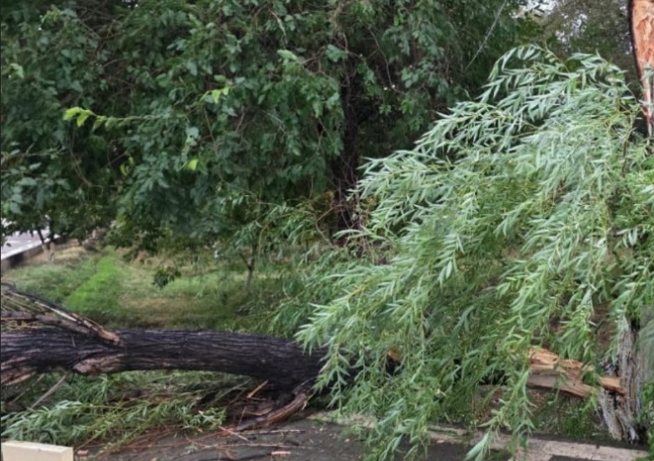 Ветер в Нахчыване сорвал крышу и отправил женщину в больницу