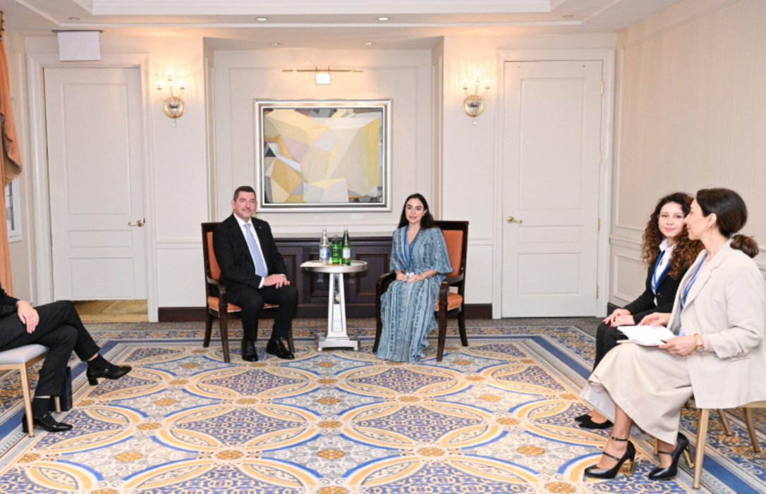 Лейла Алиева на встрече с Алесом Мусаром обратила внимание на минную проблему в Азербайджане