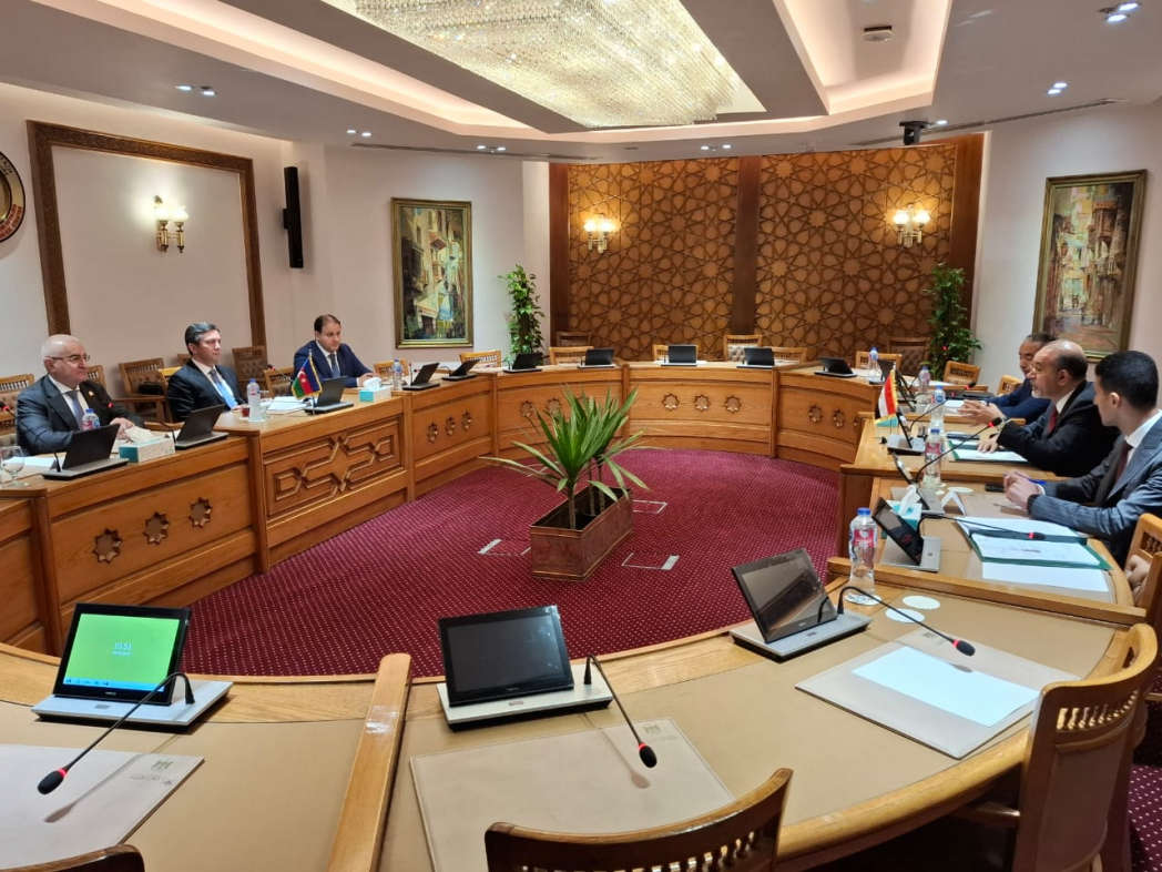 Ялчин Рафиев провёл ряд встреч в Египте