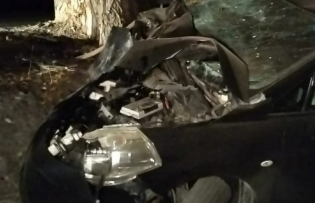 Появление скота на дороге привело к смертельному ДТП в Огузе