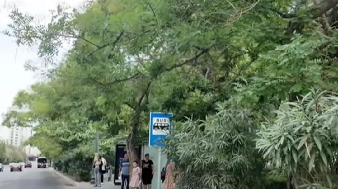 Скрытые знаки создают проблемы на столичных дорогах