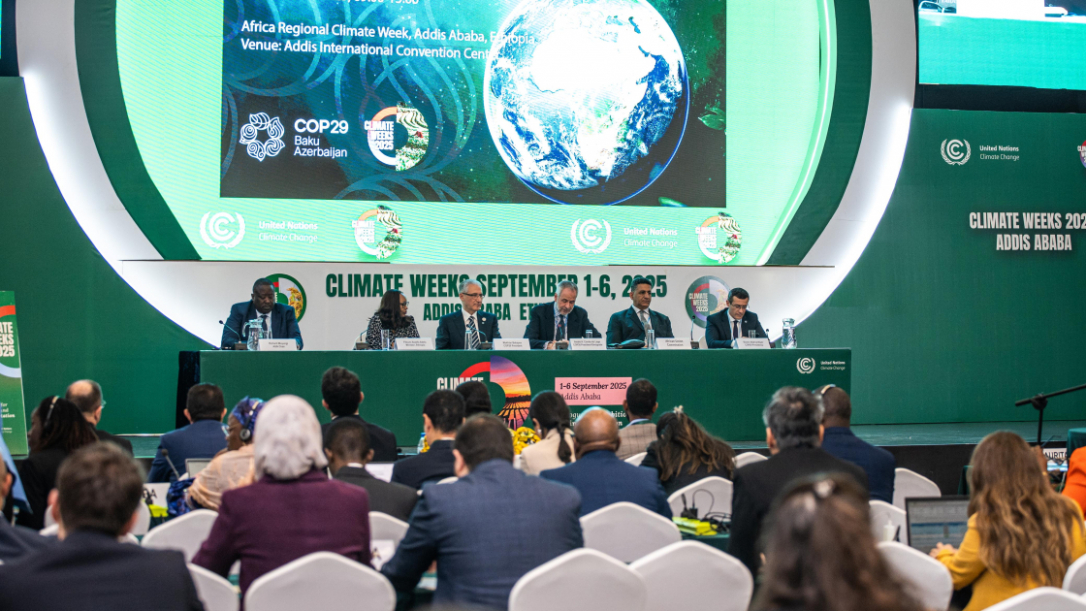 Азербайджан провёл климатическую встречу в Эфиопии