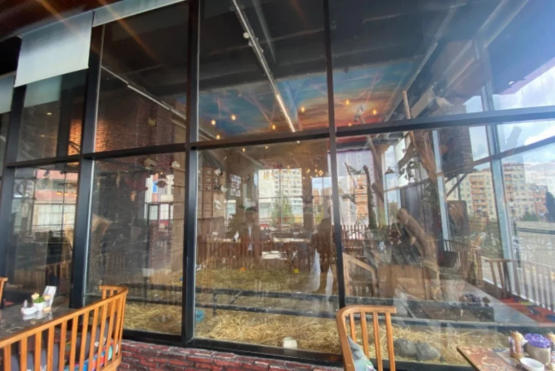 В бакинском ресторане незаконно держали диких животных