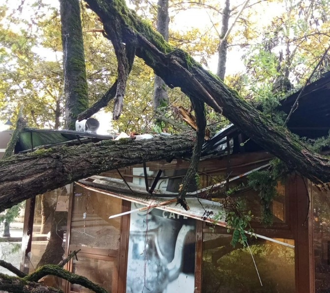 Ветер снес кафе в Исмаиллы