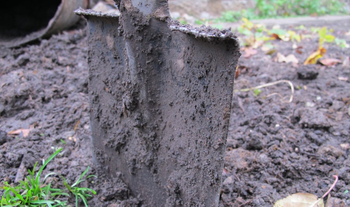 В Баку женщина застрелила мужа и закопала во дворе дома