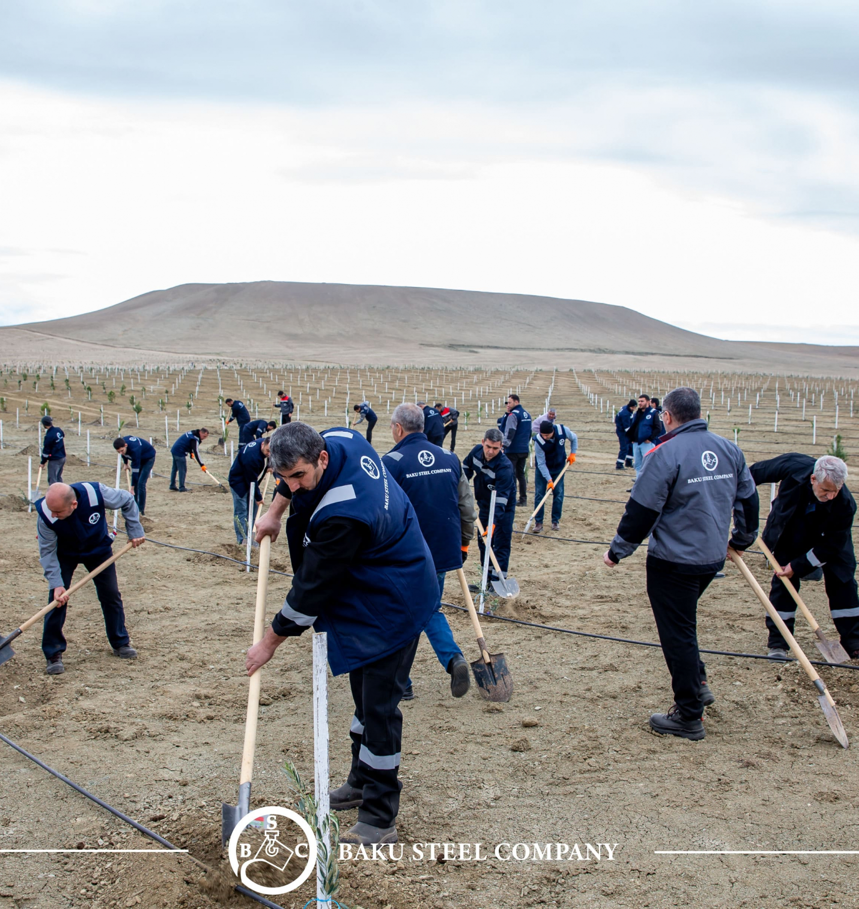 ® Baku Steel Company укрепляет вклад в защиту окружающей среды: высажено около 3000 деревьев