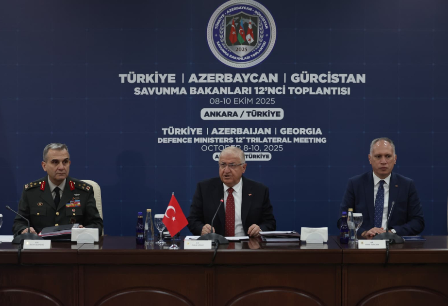 Турция, Азербайджан и Грузия объединяют усилия для мира и стабильности