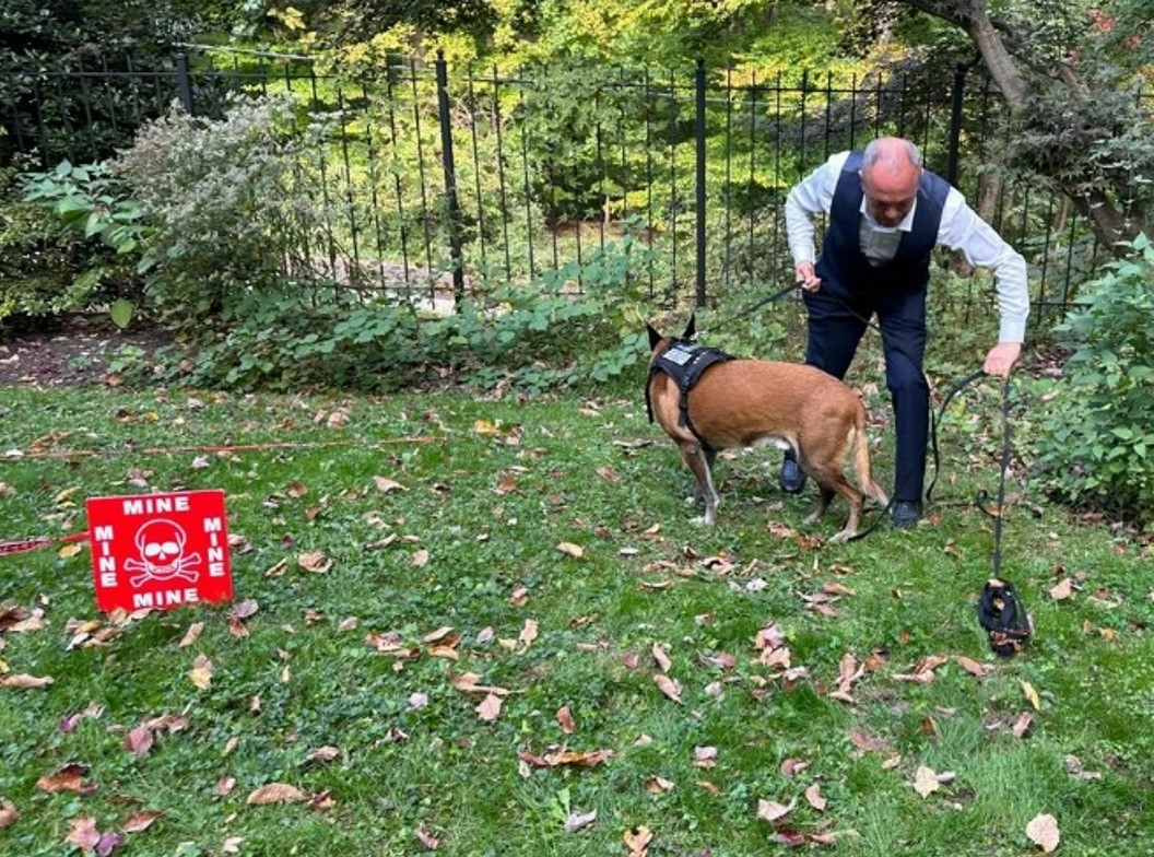 Герой-разминировщик Аллахвердиев и его собака удостоены в США высокой награды