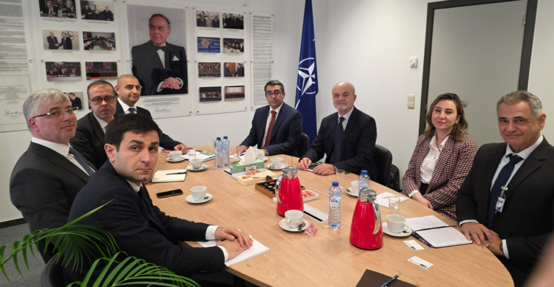 Азербайджан и НАТО объединяют усилия против минной угрозы