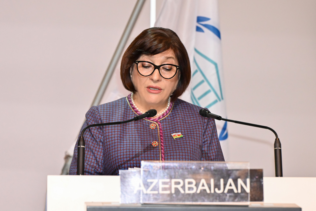 Гафарова в Женеве поведала о минной угрозе в Азербайджане