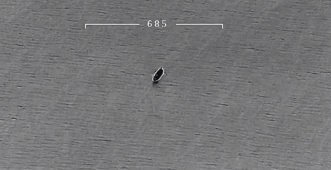 Польские военные раскрыли возможности Bayraktar TB2