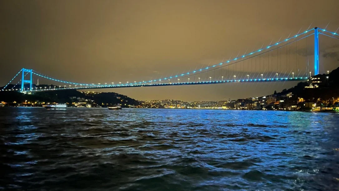 Мосты Стамбула освещены цветом флага ОТГ
