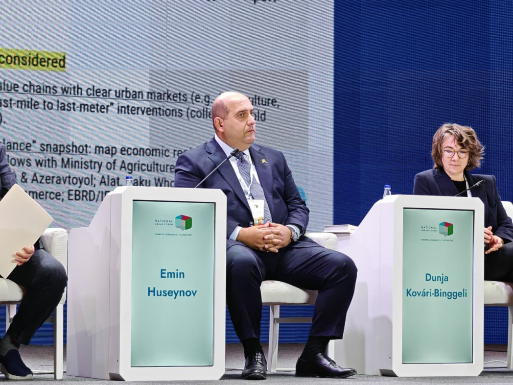 Эмин Гусейнов