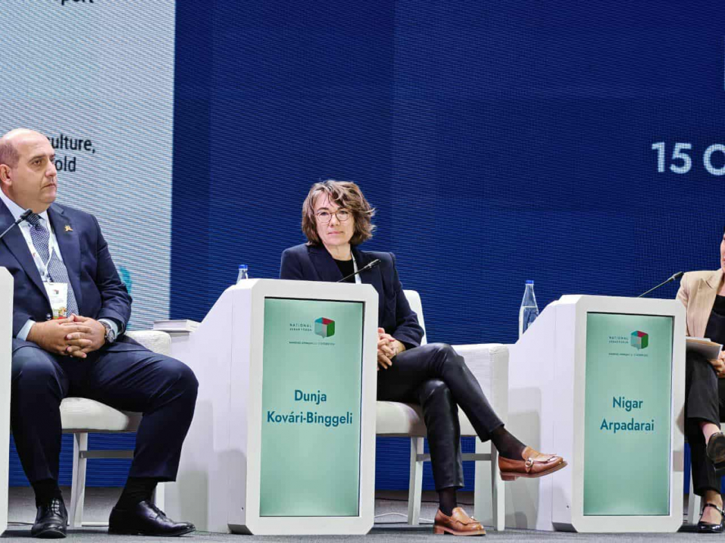 Зангилан строится по модели «города 15 минут»