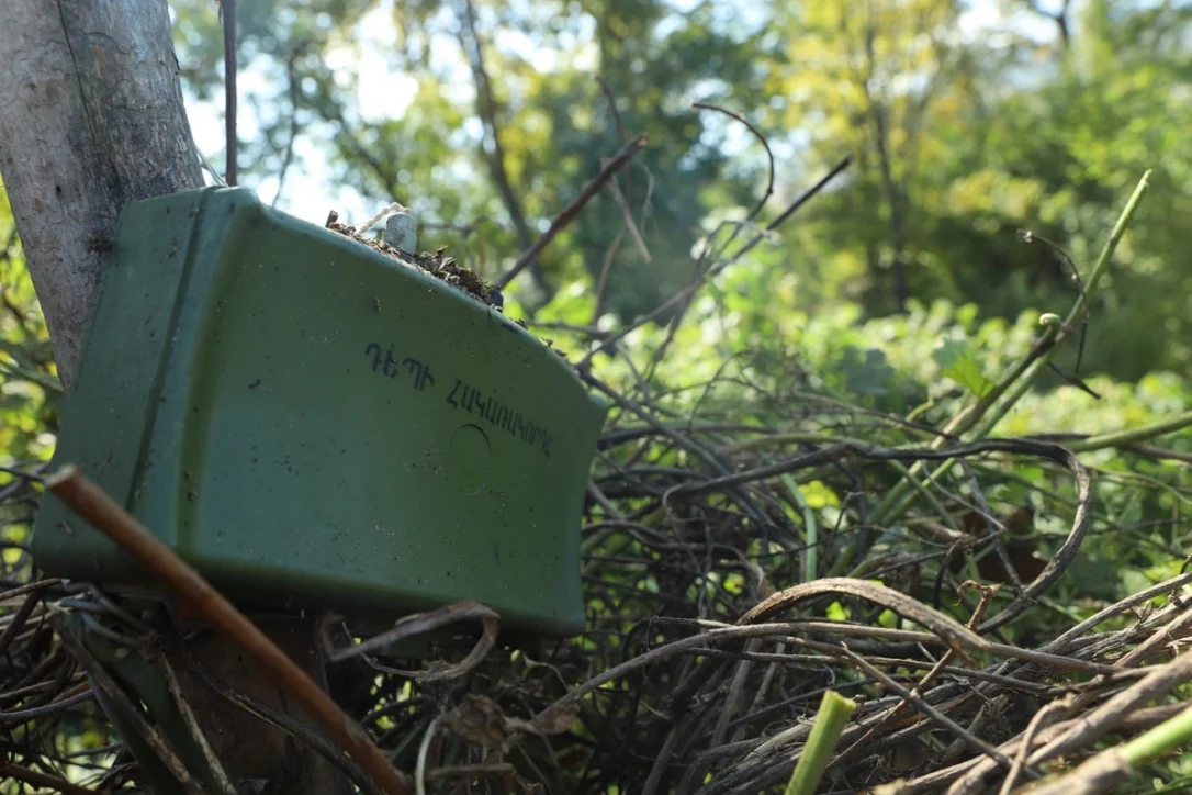 Сотрудники ANAMA нашли на дереве в Ходжавендском районе армянскую мину-ловушку