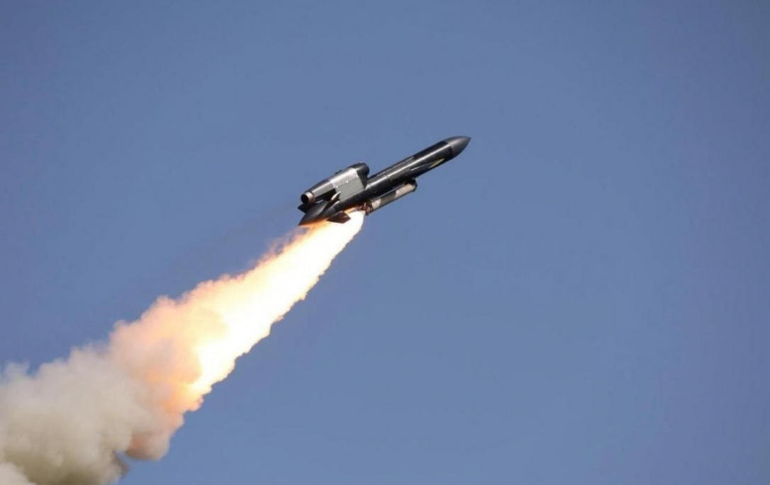 Зеленский анонсировал массовое производство крылатых ракет «Фламинго»