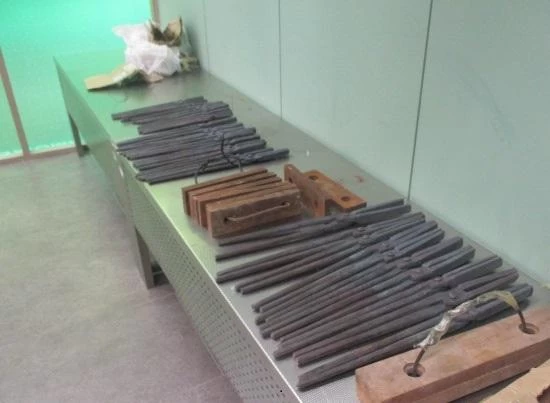 Житель Челябинской области России пытался провезти 100 кг клещей из Баку