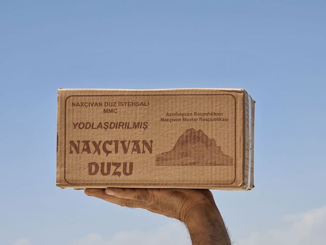 В Нахчиване приостановлено производство соли