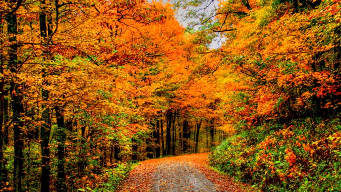 Завтра в Азербайджане прогреется до 28 градусов тепла