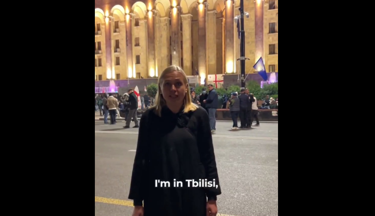 Грузия оштрафовала Элину Валтонен и передала ноту протеста ОБСЕ