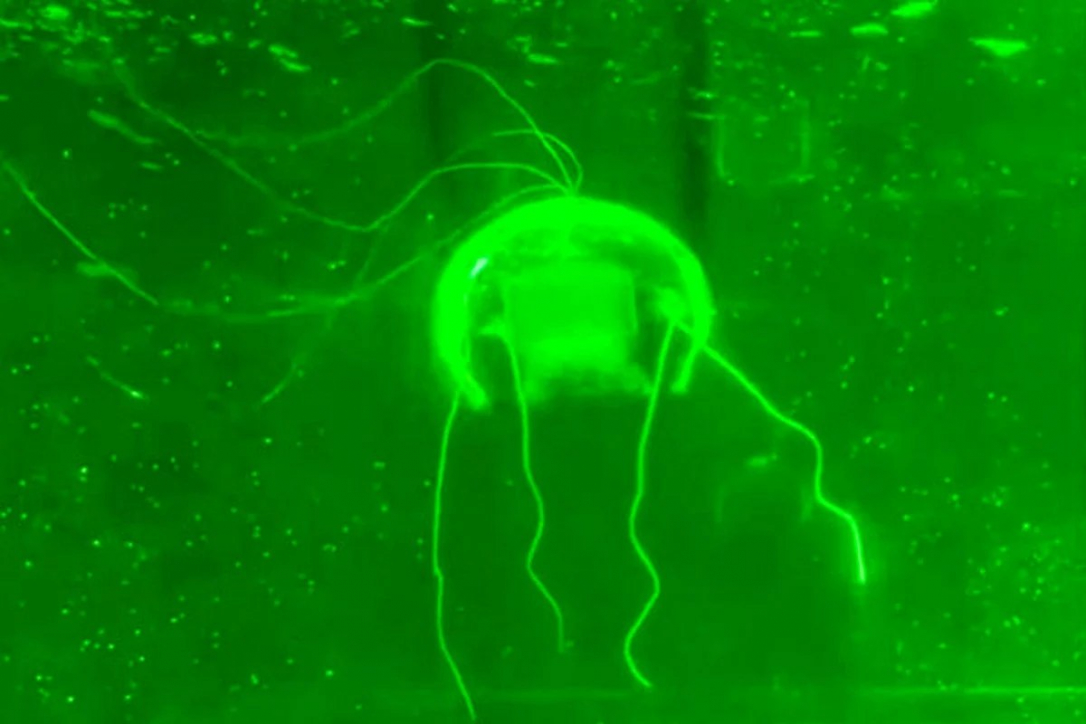 Китай представил новое чудо технологий - прозрачную медузу-робота