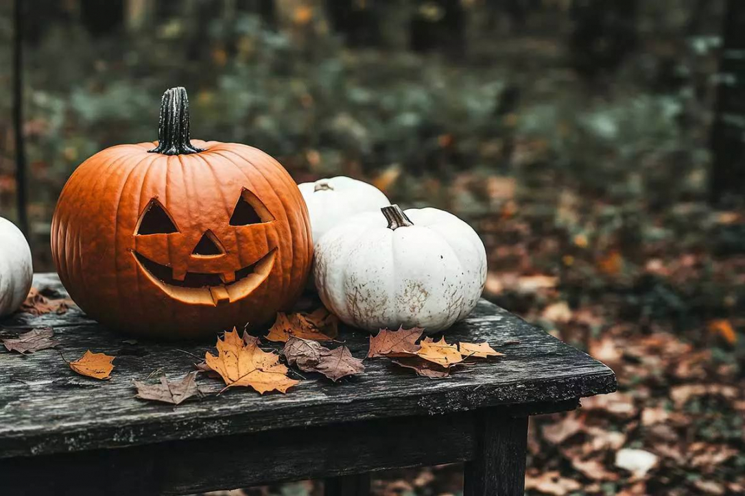 Российский МГУ запретил студентам отмечать Хэллоуин