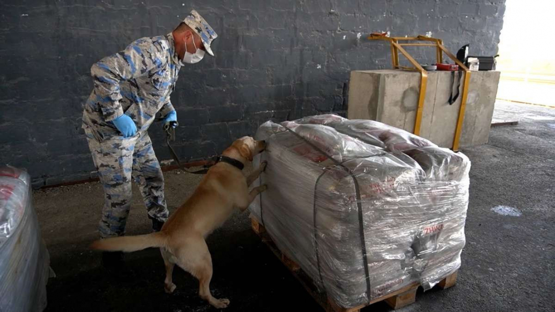 Таможенники пресекли контрабанду наркотиков на сумму более $90 млн