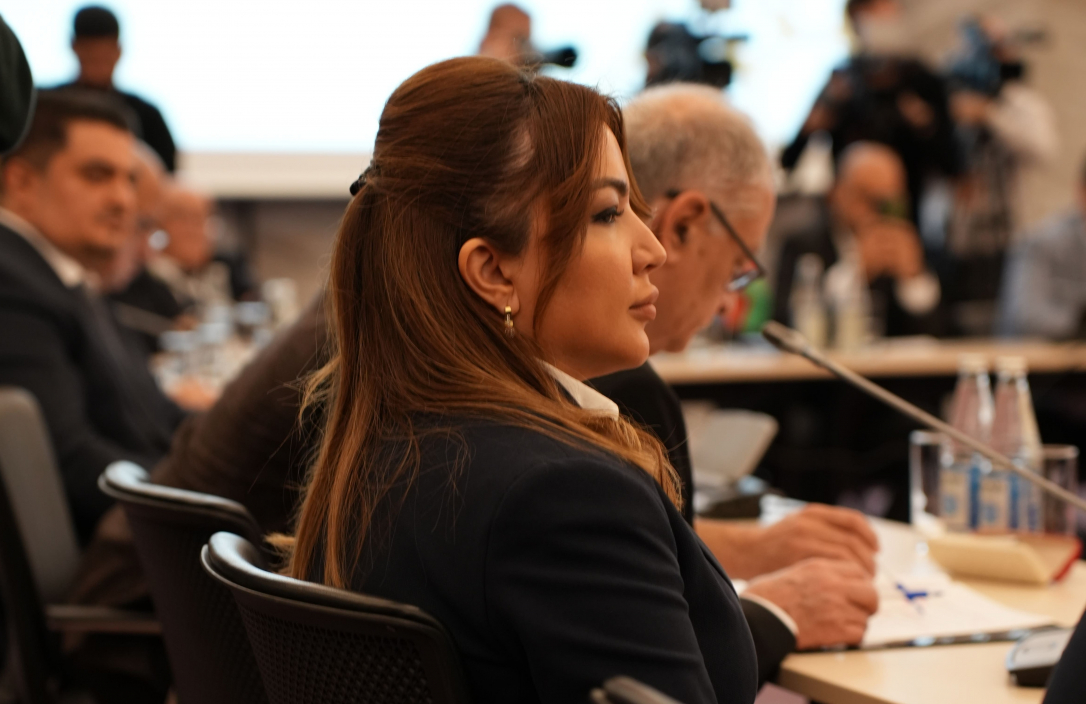 Айгюн Алиева