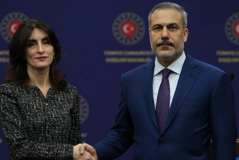 Главы МИД Турции и Грузии созвонились