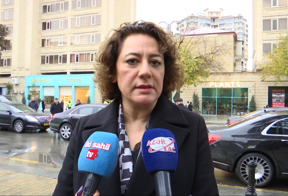 Глава представительства ТРСК поблагодарила Ильхама Алиева за поддержку