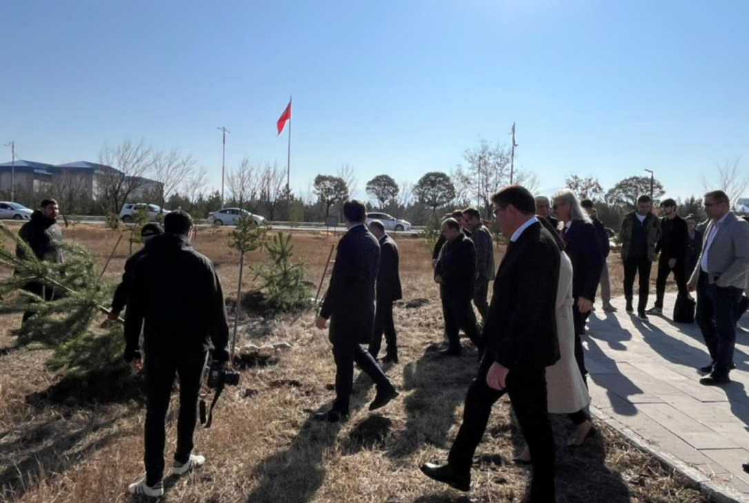 В Карсе зацвела память: 44 дерева в честь павших героев Азербайджана