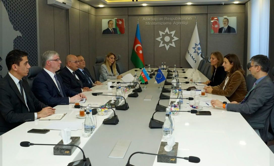 Посол ЕС получила подробную информацию о разминировании в Карабахе