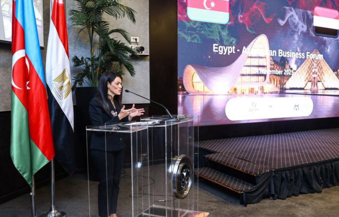 В Каире прозвучали амбициозные планы по расширению азербайджано-египетских связей