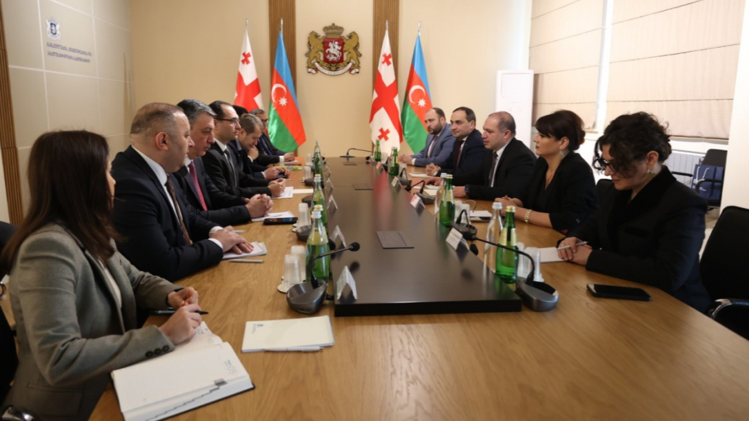 Делегация Азербайджана провела встречи в Грузии по вопросам аграрного образования