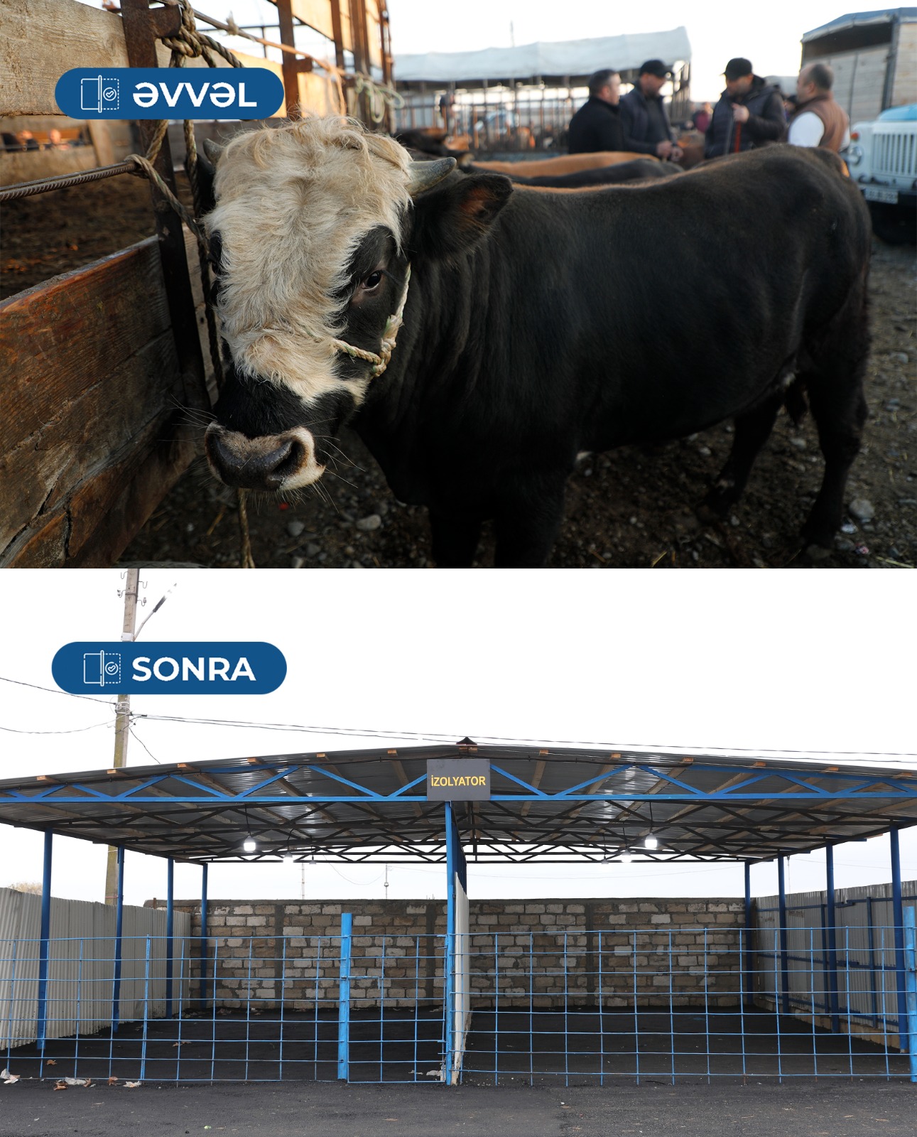 В Барде возобновил работу рынок скота