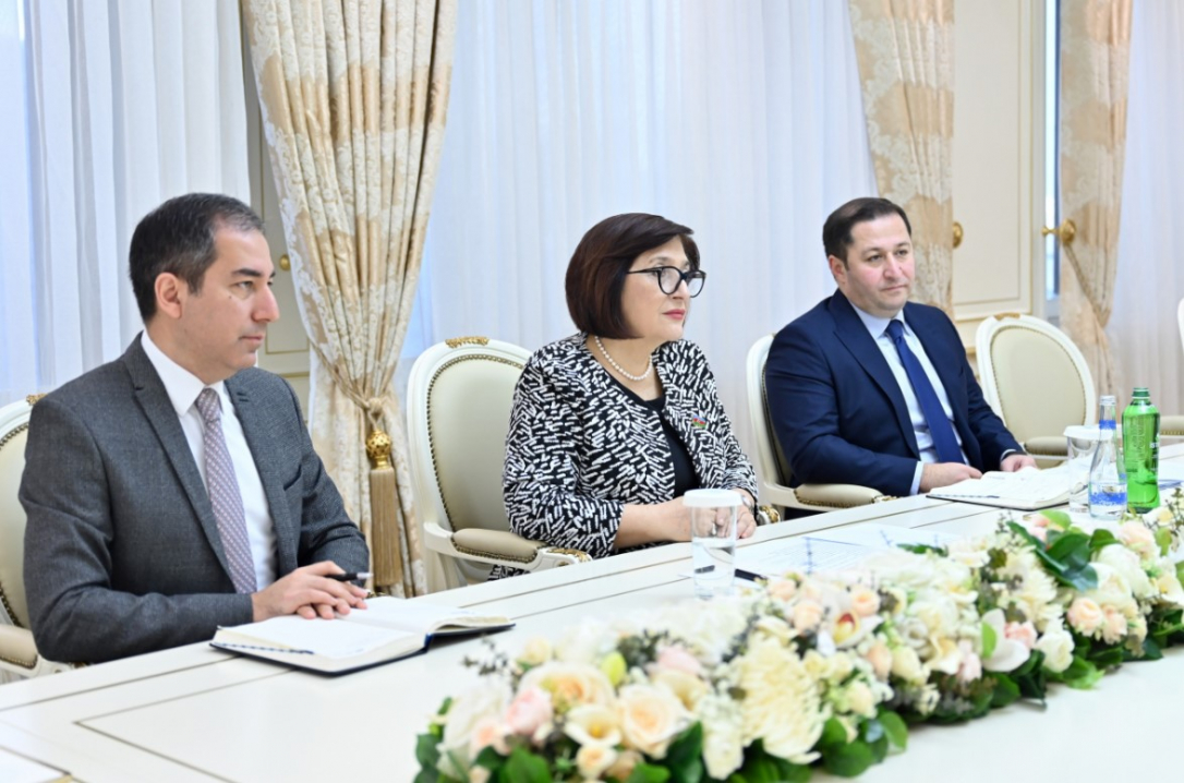 Баку и Каир делают ставку на парламентскую дипломатию