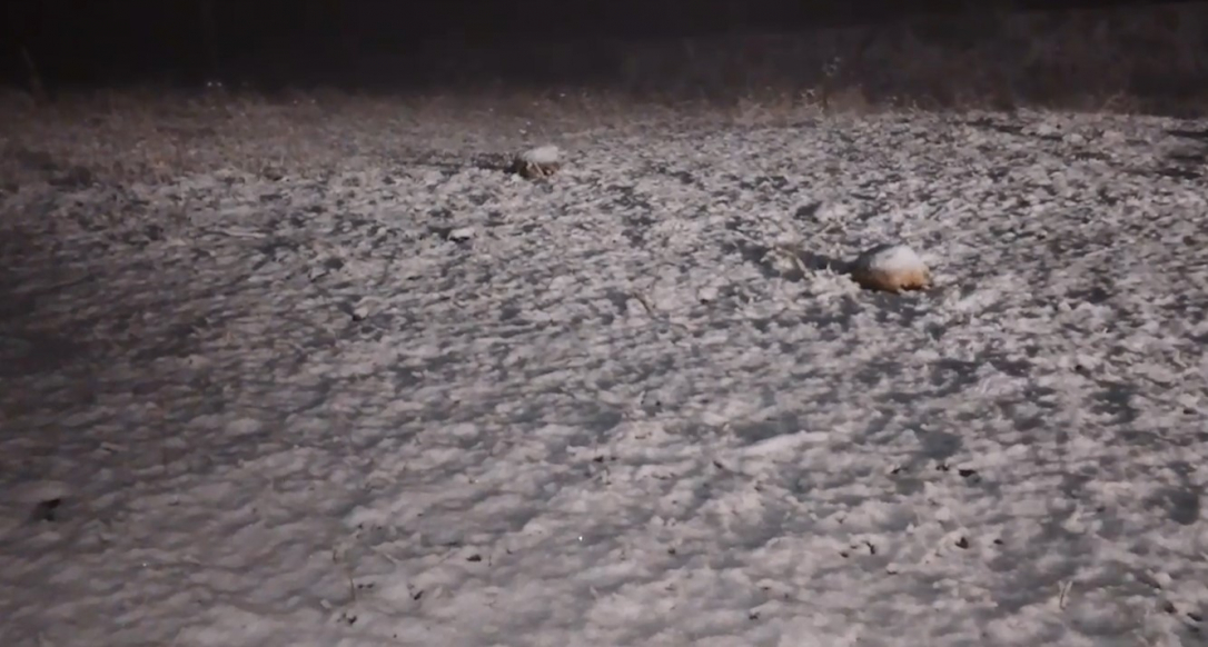 Снегопад в Лачинском районе