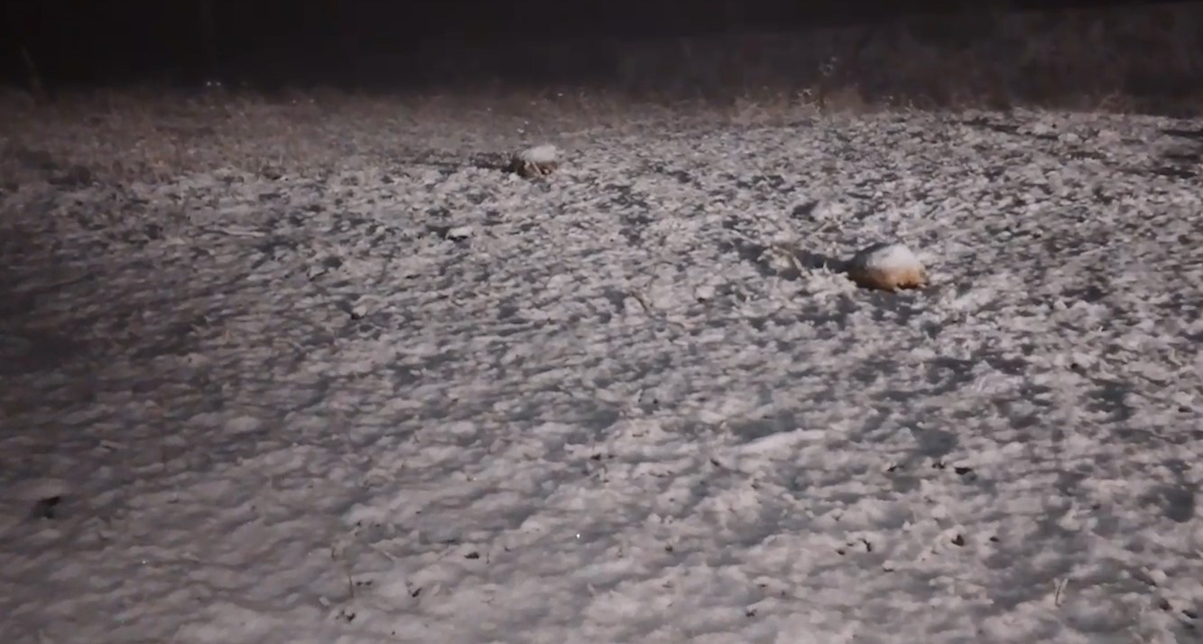 Снегопад в Лачинском районе