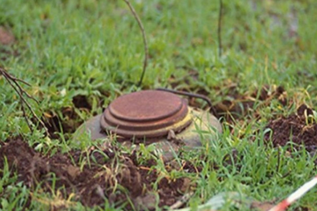 Польша впервые со времен холодной войны начинает производство противопехотных мин