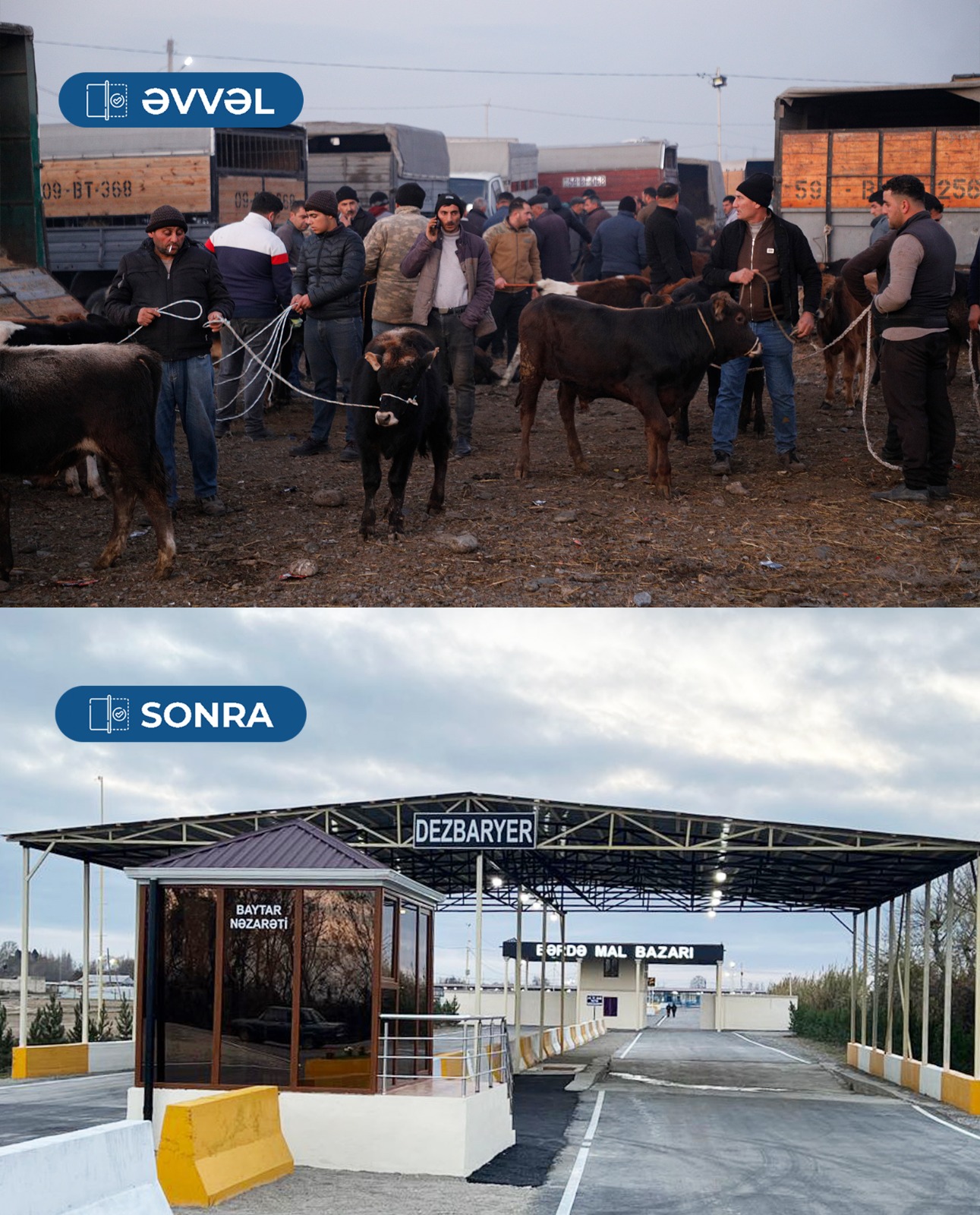 В Барде возобновил работу рынок скота