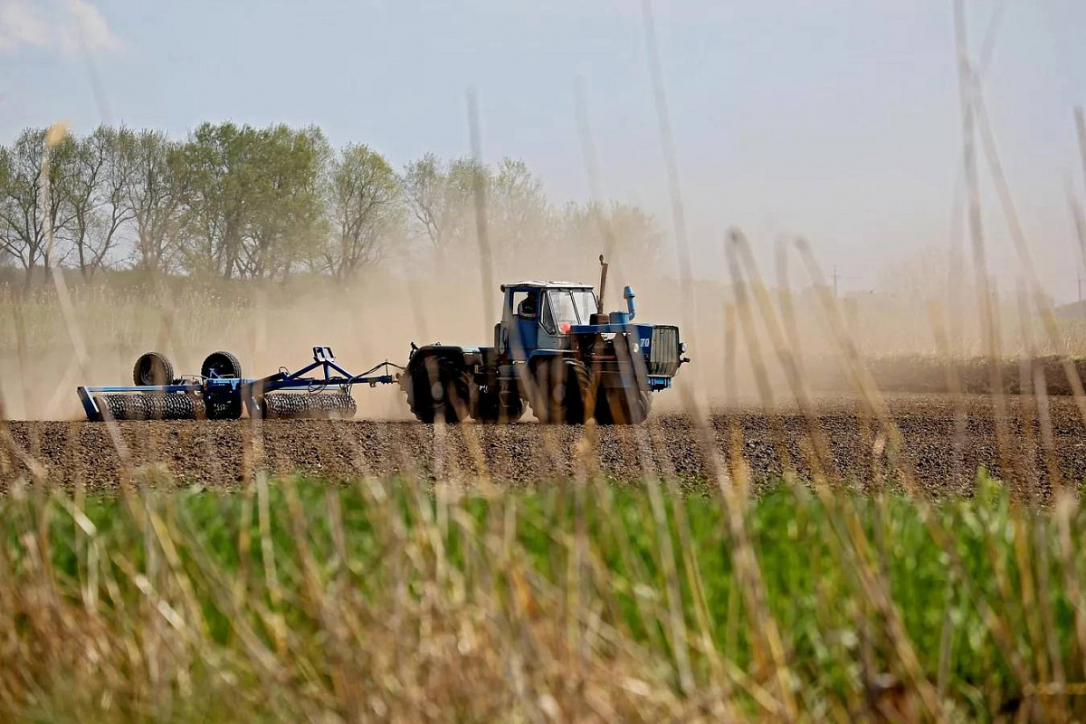 Названа причина приглашения в Азербайджан иностранных аграриев