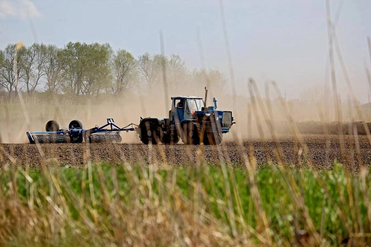 Названа причина приглашения в Азербайджан иностранных аграриев